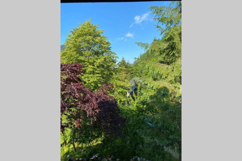 Ferienhaus Blommers Palfau Extérieur photo